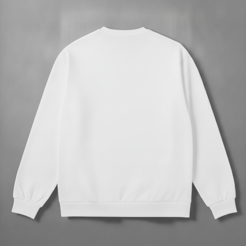 mens white sweatshirt